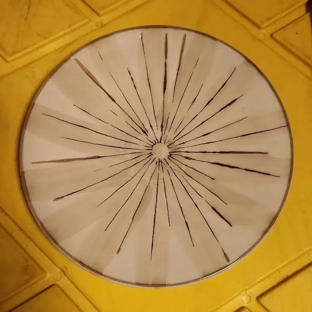 Pier 1 Sanctuary Salad Plate 8 3/8